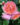 ABRAHAM_DARBY