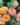 apricot-clementine2