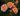 charles_austin_labs