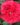 out-of-rosenheim