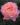 rosemary-harkness