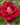 Screenshot 2024-04-04 at 10.51.34