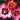 rosa-blushing-babylon-eyes-