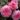 zaide_1